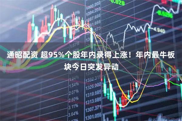 通昭配资 超95%个股年内录得上涨！年内最牛板块今日突发异动