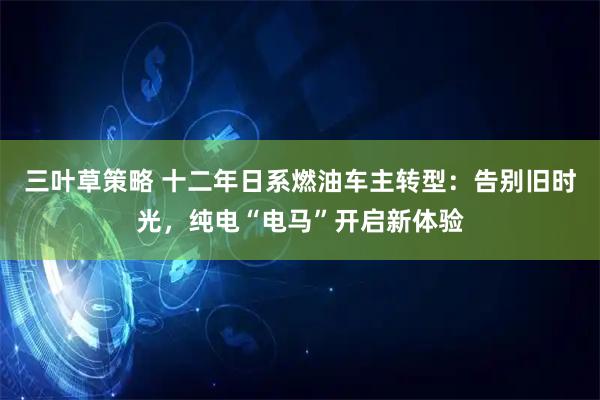 三叶草策略 十二年日系燃油车主转型：告别旧时光，纯电“电马”开启新体验